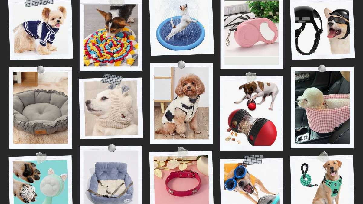 archivo infogate web-5-2-34-32