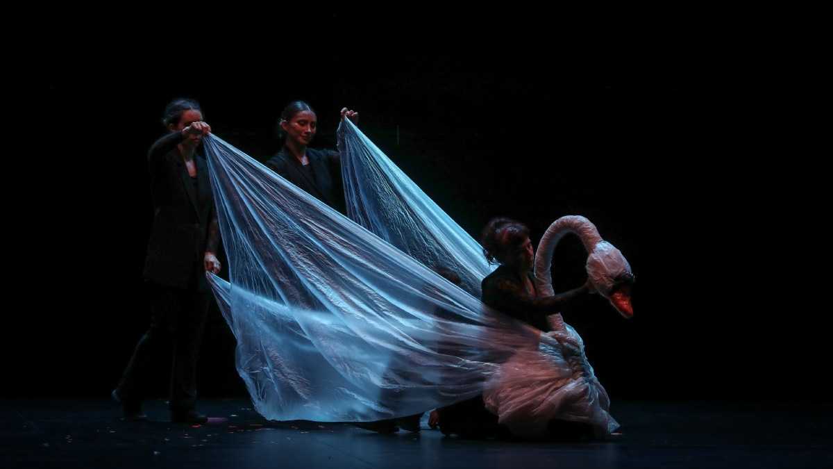 archivo infogate web-5-2-34-34