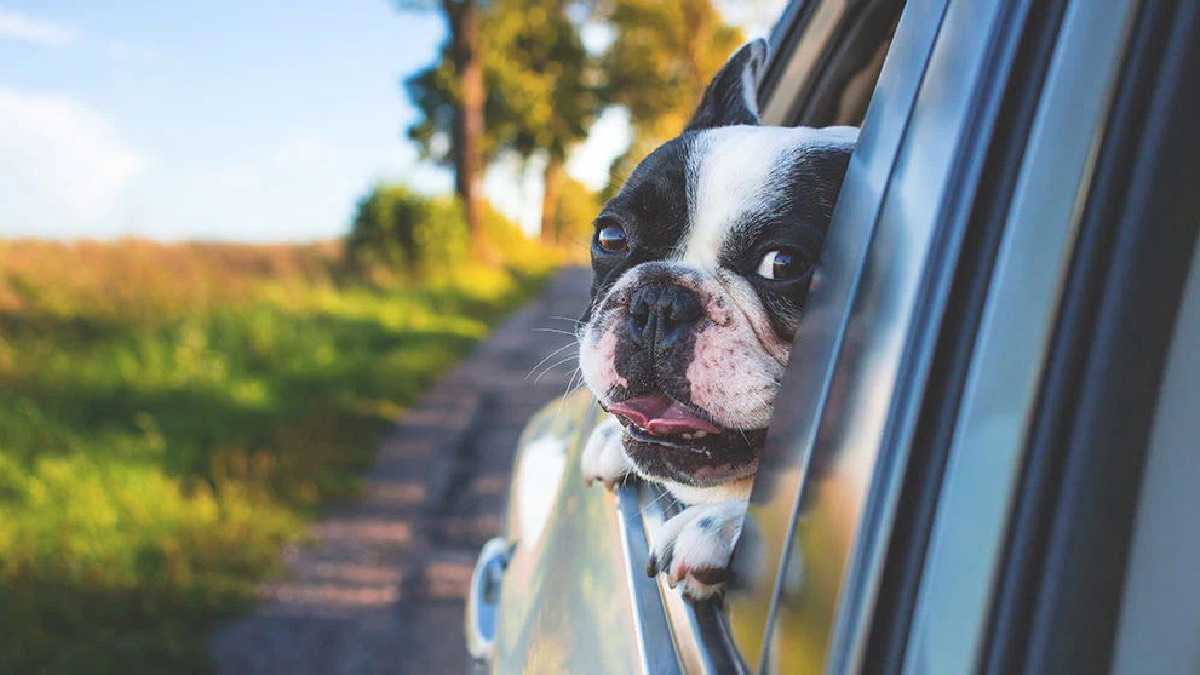 archivo infogate web-5-2-34-37