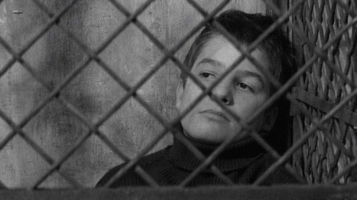 archivo infogate web-5-2-34-48