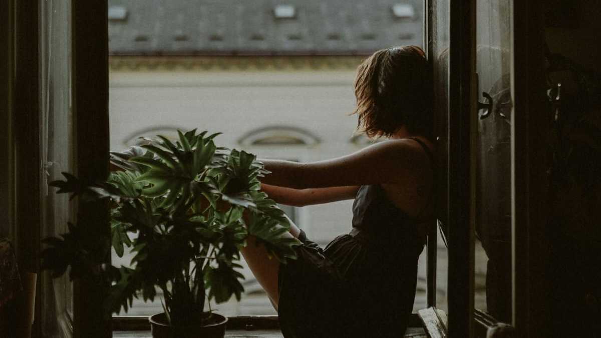 archivo infogate web-5-2-34-50