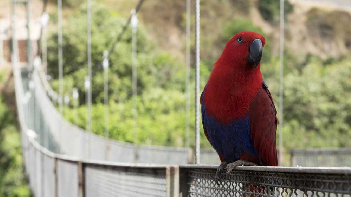 archivo infogate web-5-2-34-54