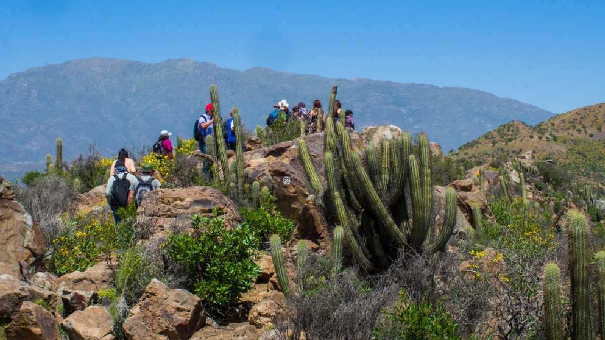 archivo infogate web-5-2-34-56