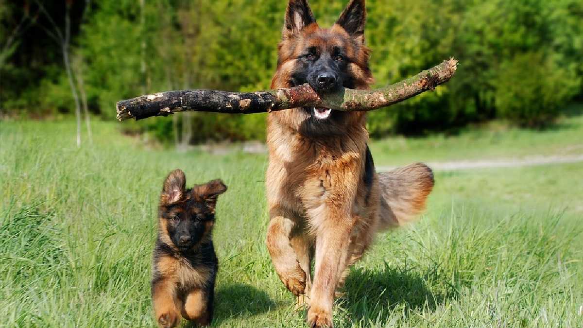 archivo infogate web-5-2-34-61