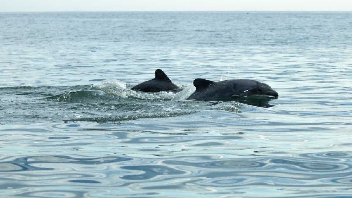 archivo infogate web-5-2-34-67