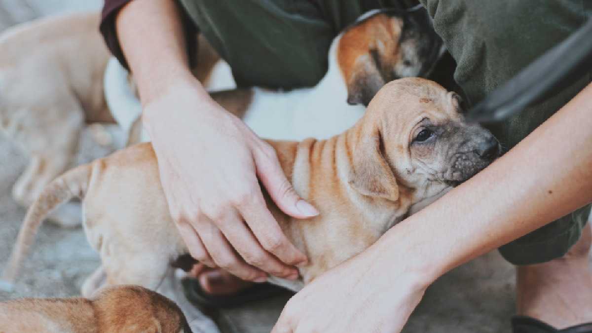 archivo infogate web-5-2-34-72