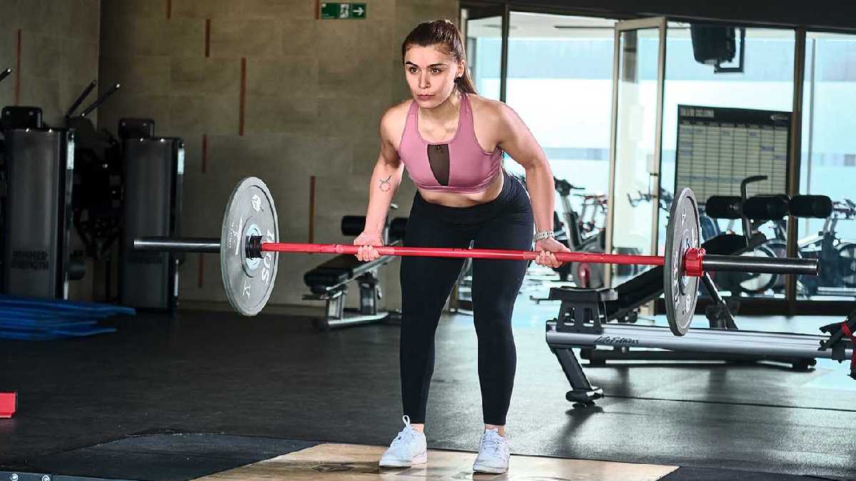 archivo infogate web-5-2-34-12