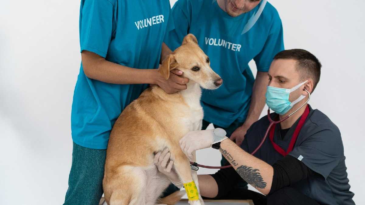 archivo infogate web-5-2-34-13