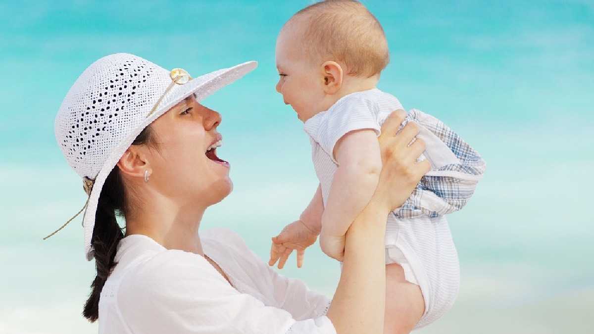 archivo infogate web-5-2-34-34