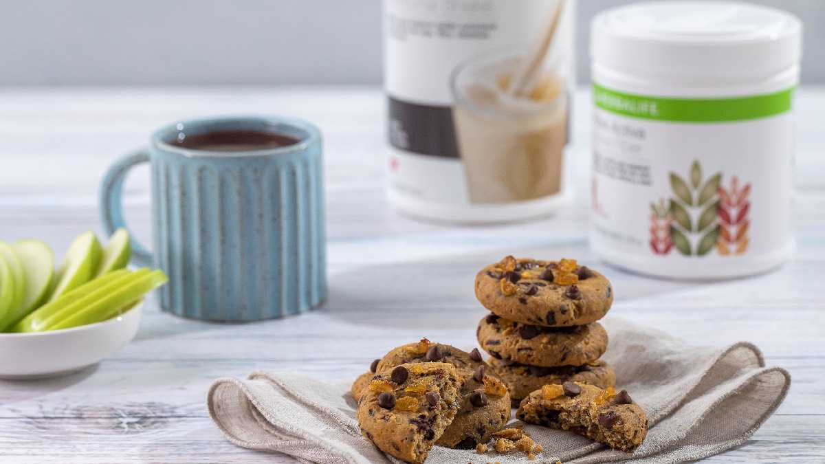 archivo infogate web-5-2-34-52