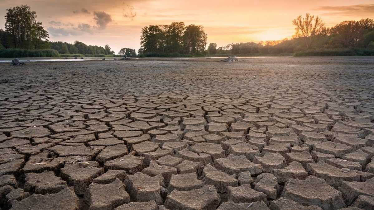 archivo infogate web-5-2-34-53