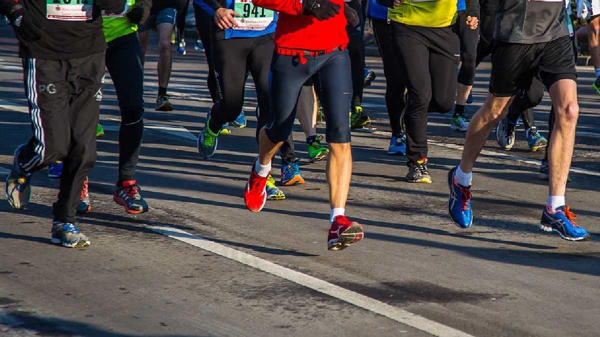 archivo infogate web-5-2-34-6