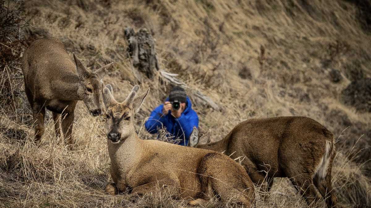 archivo infogate web-5-2-34-65