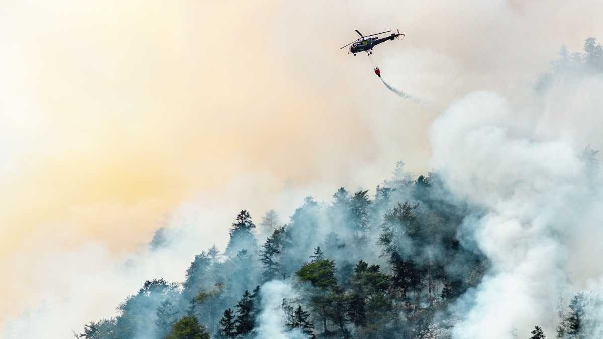 archivo infogate web-5-2-34-17