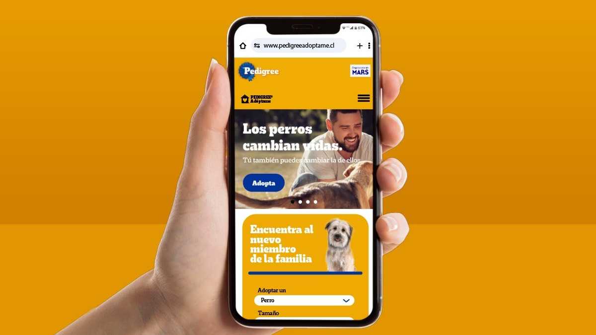 archivo infogate web-5-2-34-26