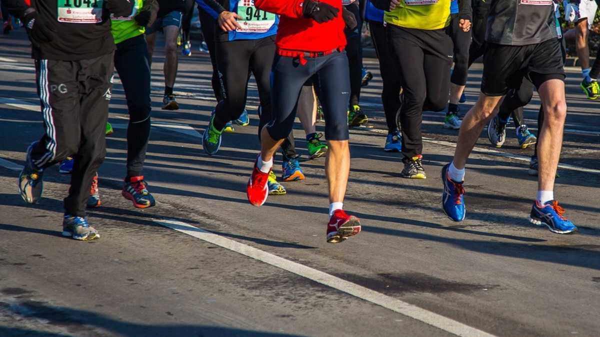 archivo infogate web-5-2-34-32