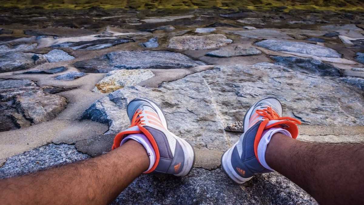 archivo infogate web-5-2-34-4