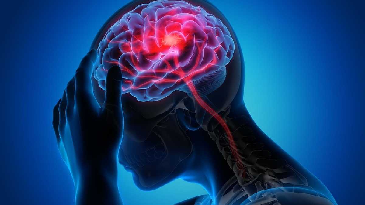 archivo infogate web-5-2-34-7