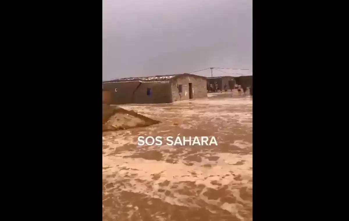 SAHARA LLUVIAS