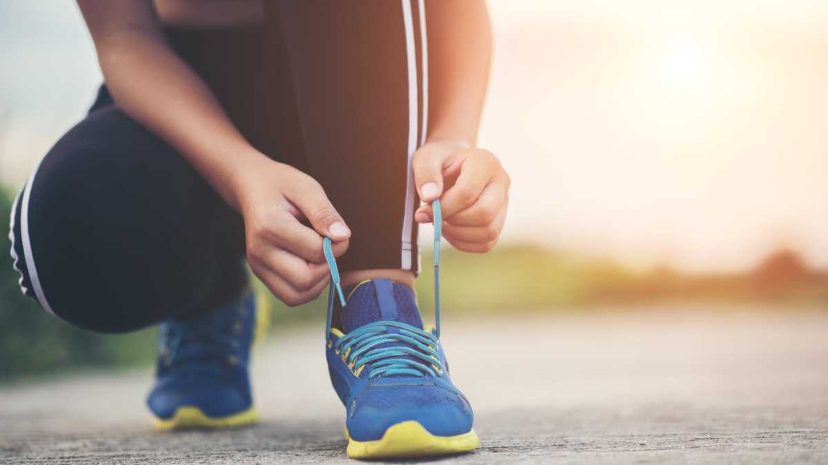 archivo infogate web-5-2-34-18