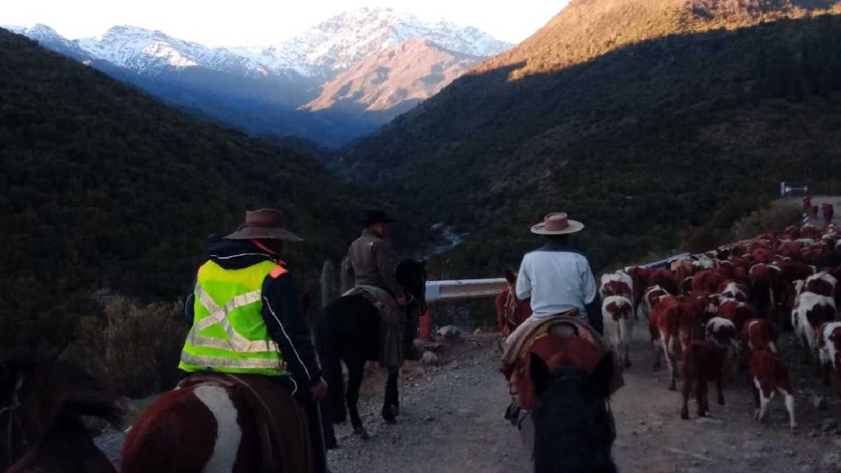 archivo infogate web-5-2-34-24