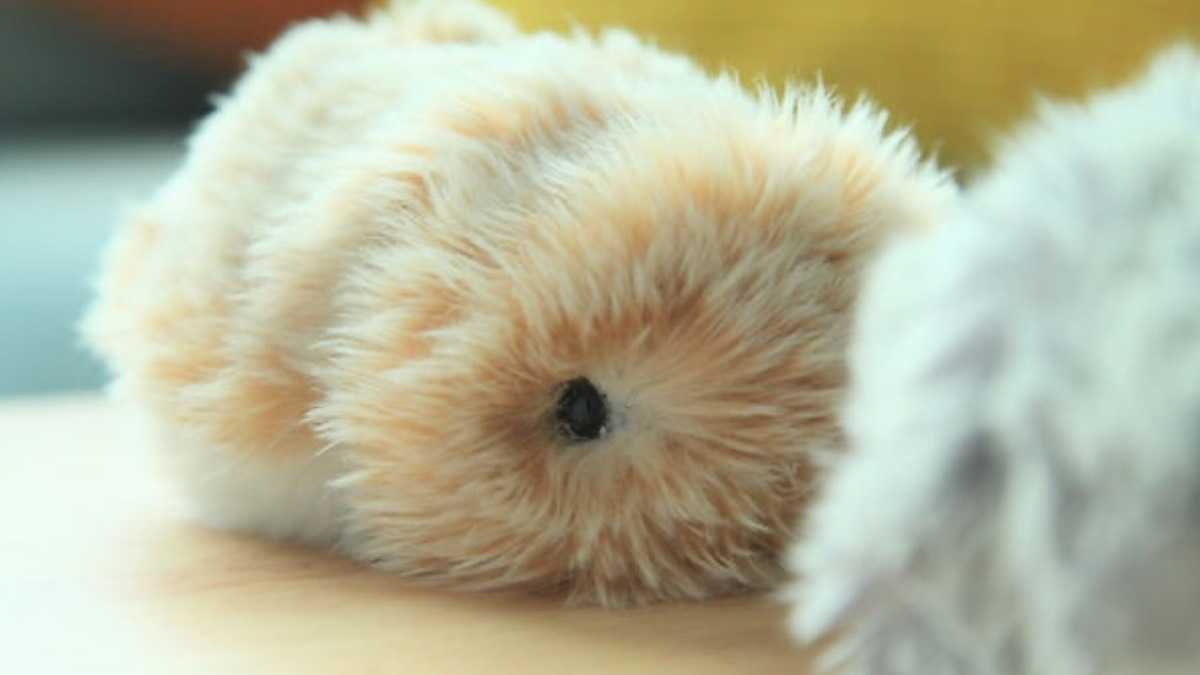 archivo infogate web-5-2-34-34