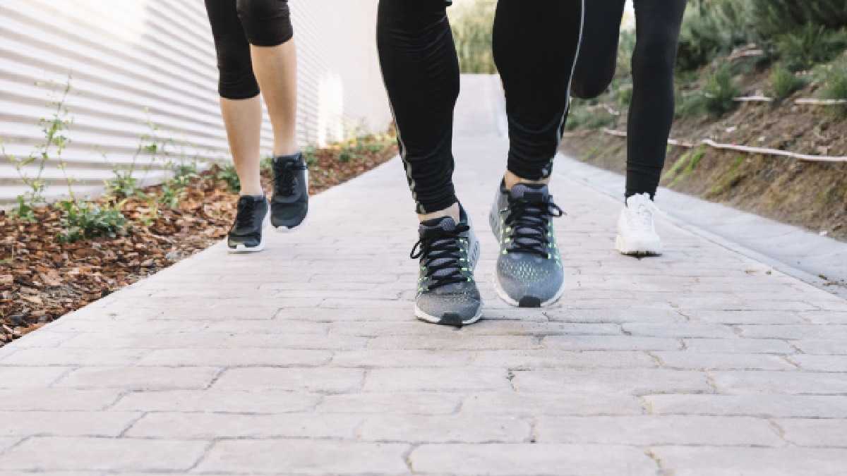 archivo infogate web-5-2-34-43