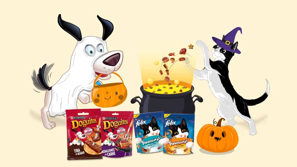 archivo infogate web-5-2-34-49