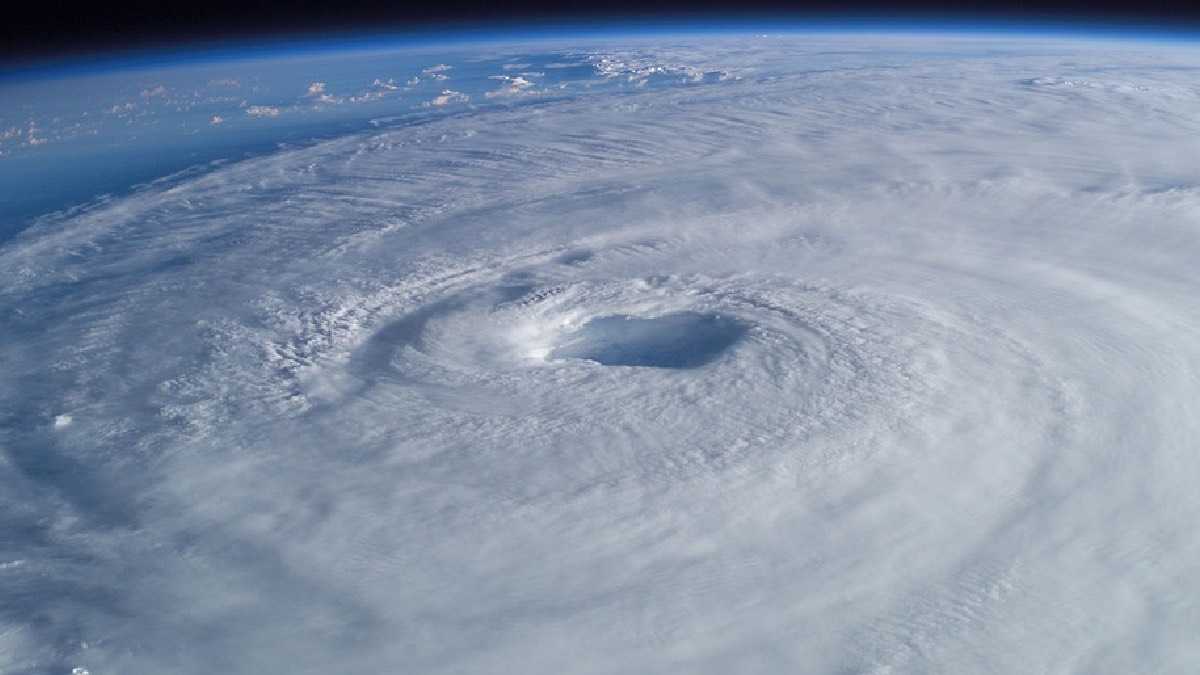 archivo infogate web-5-2-34-50