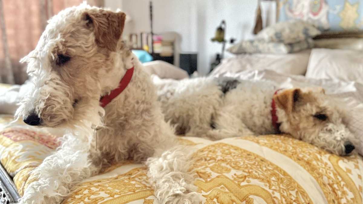 archivo infogate web-5-2-34-56