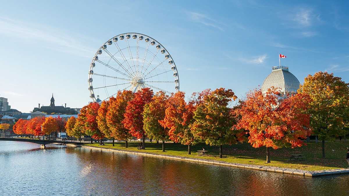 archivo infogate web-5-2-34-9