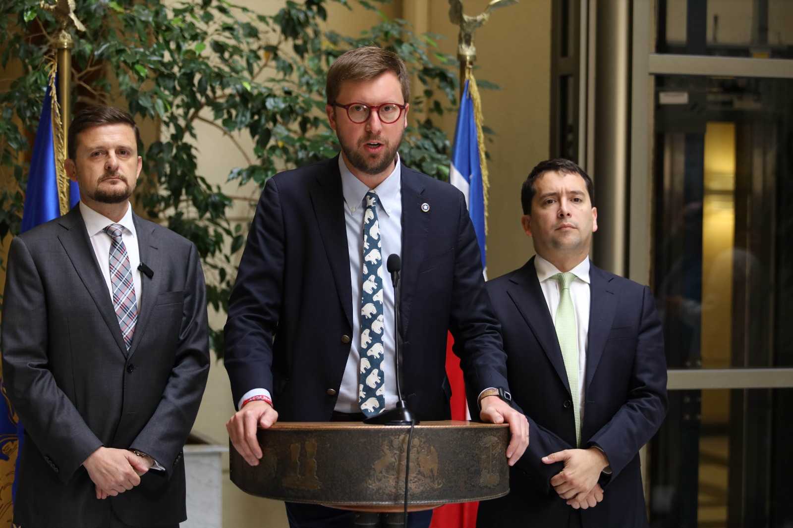 Sánchez Schubert y Araya