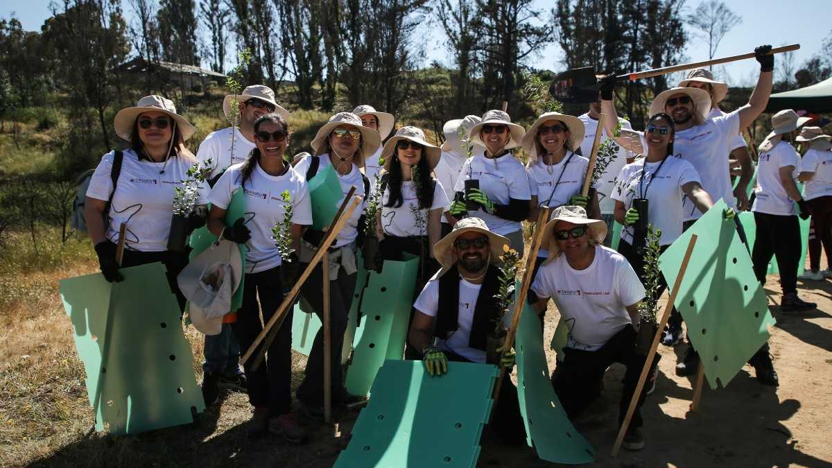 archivo infogate web-5-2-34-16