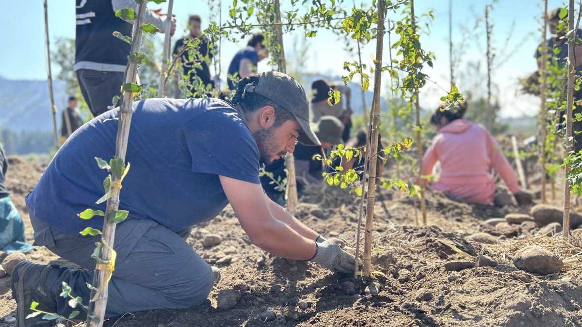 archivo infogate web-5-2-34-22