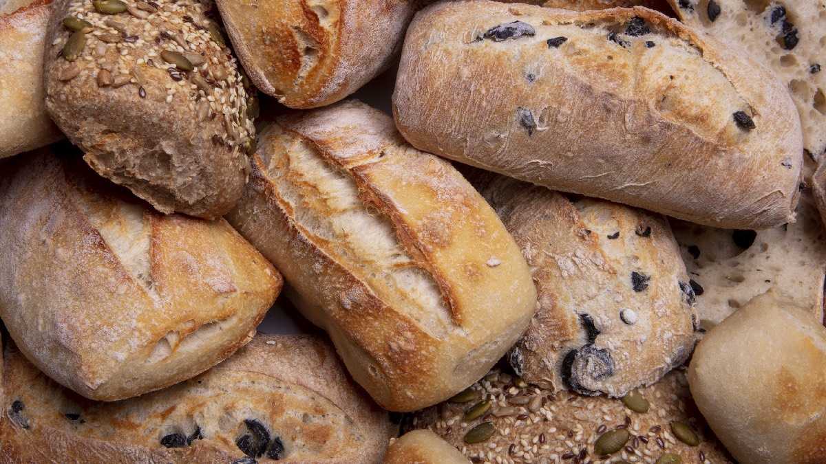 archivo infogate web-5-2-34-3