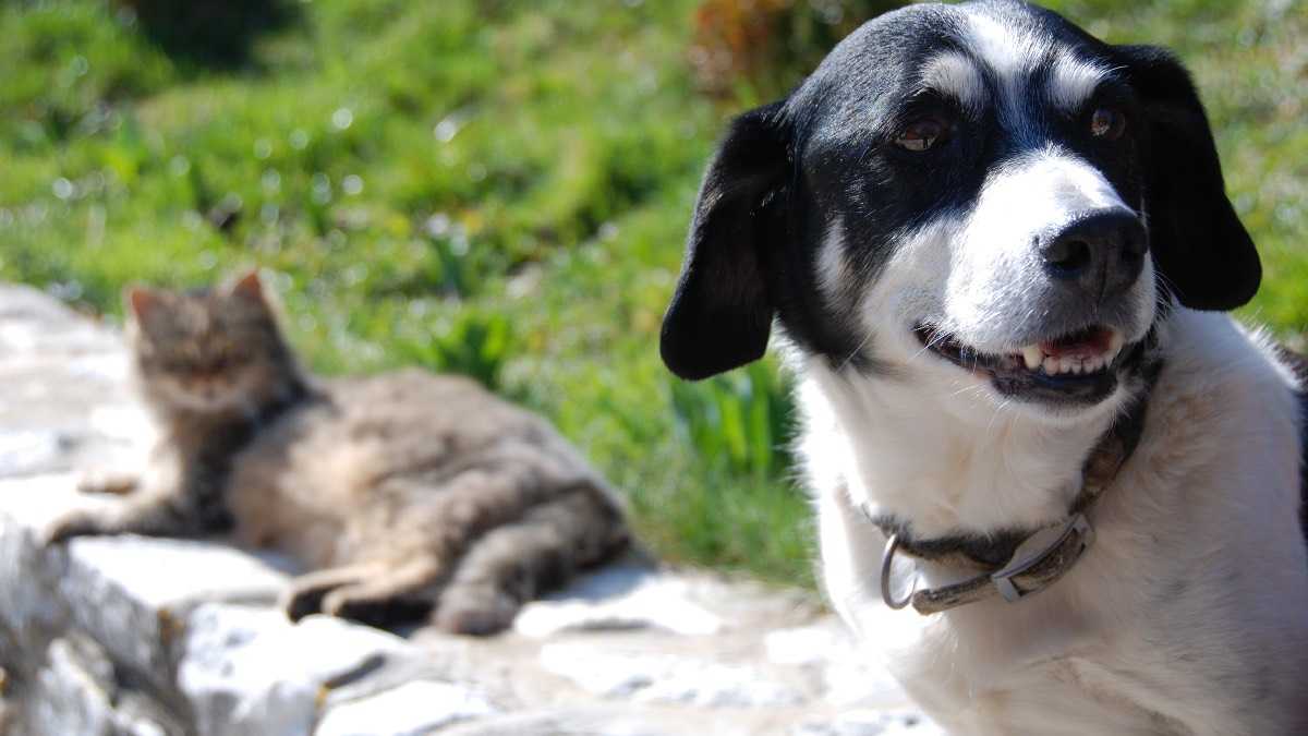 archivo infogate web-5-2-34-37