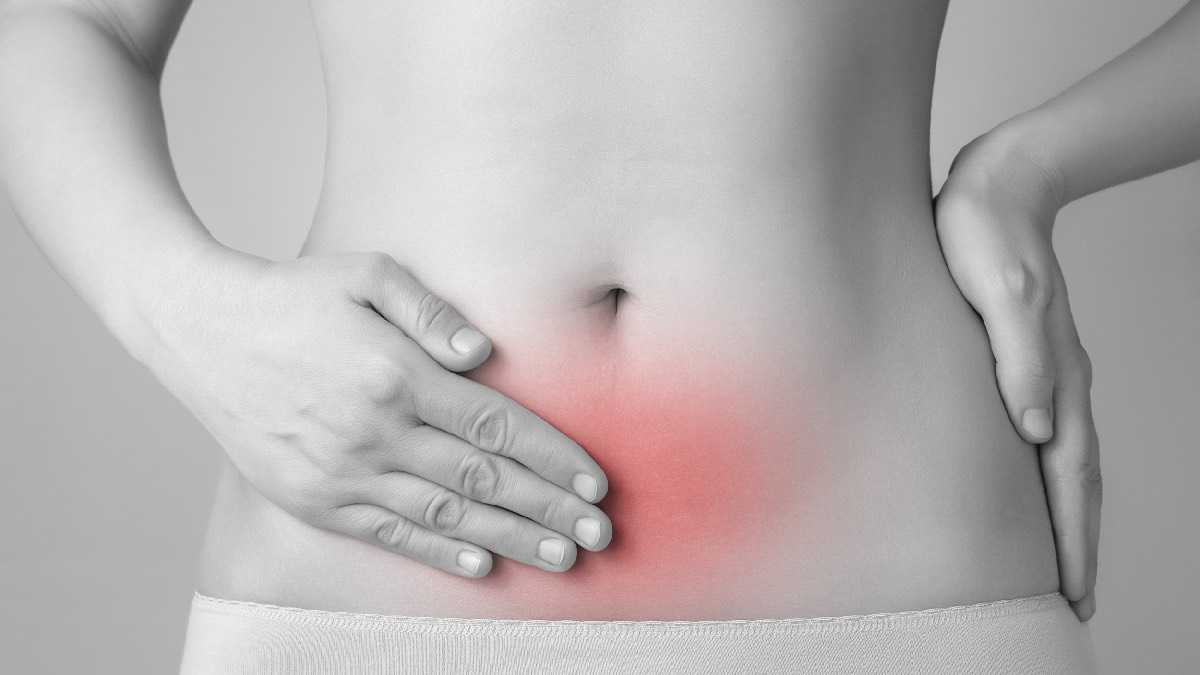 archivo infogate web-5-2-34-43