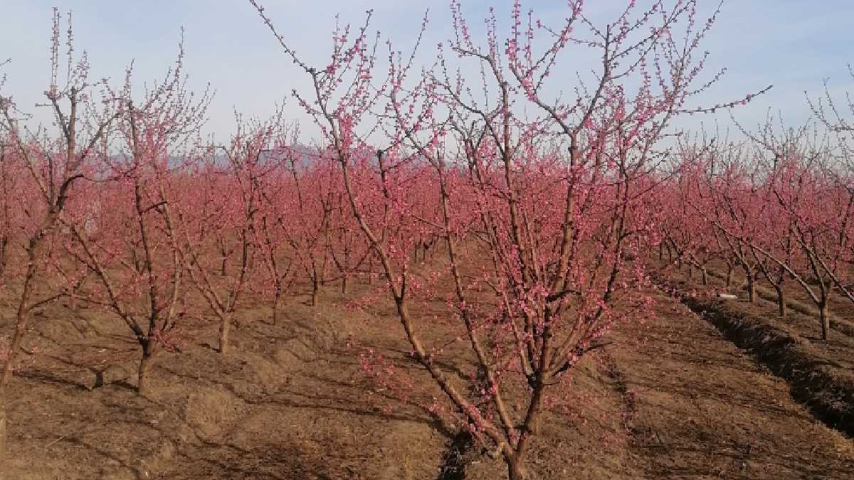 archivo infogate web-5-2-34-8