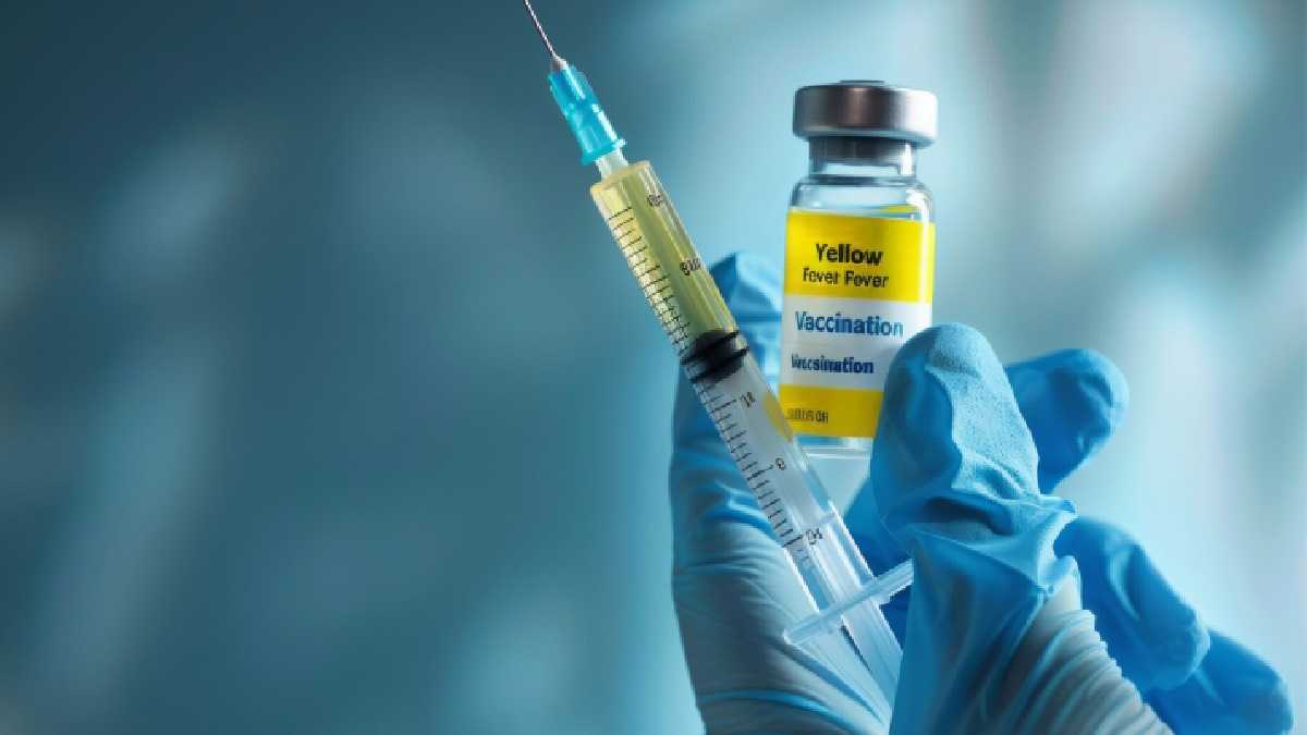 archivo infogate web-5-2-34-9