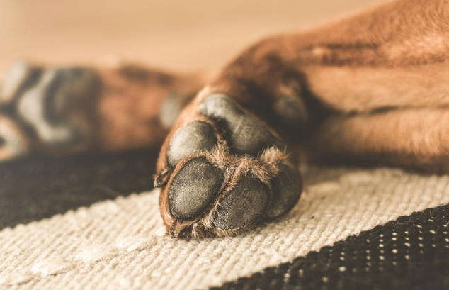 Opera Captura de pantalla_2024-12-30_185848_www.google.com