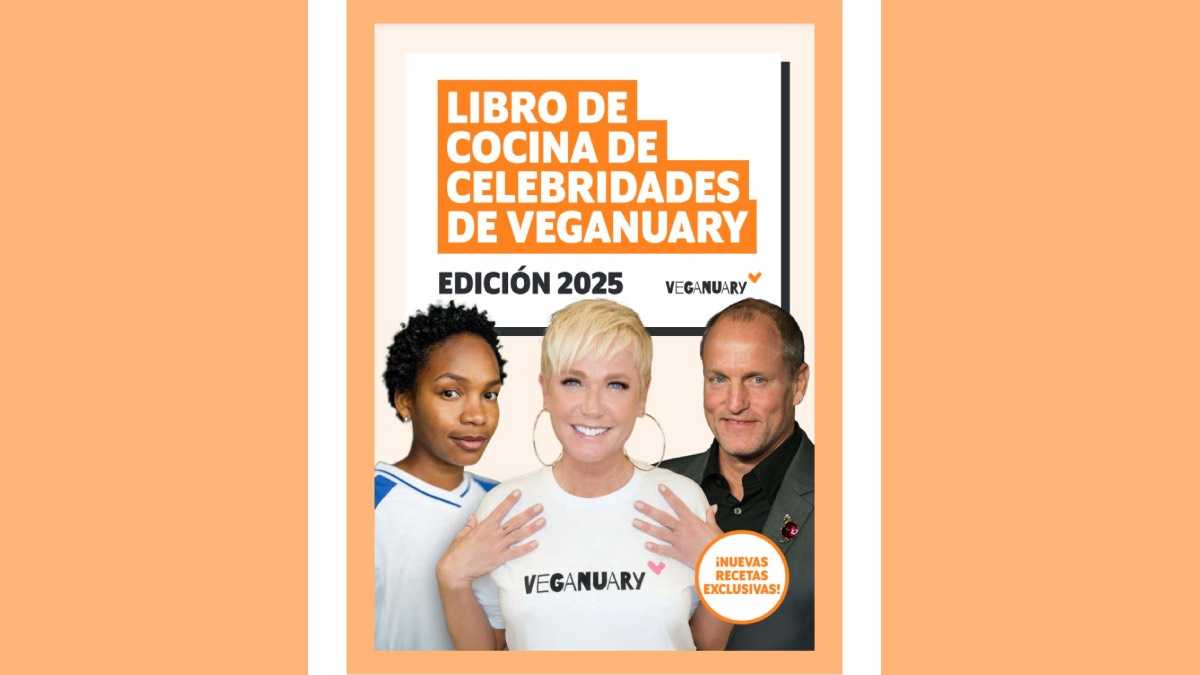 archivo infogate web-5-2-34-2