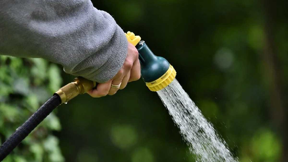 archivo infogate web-5-2-34-4