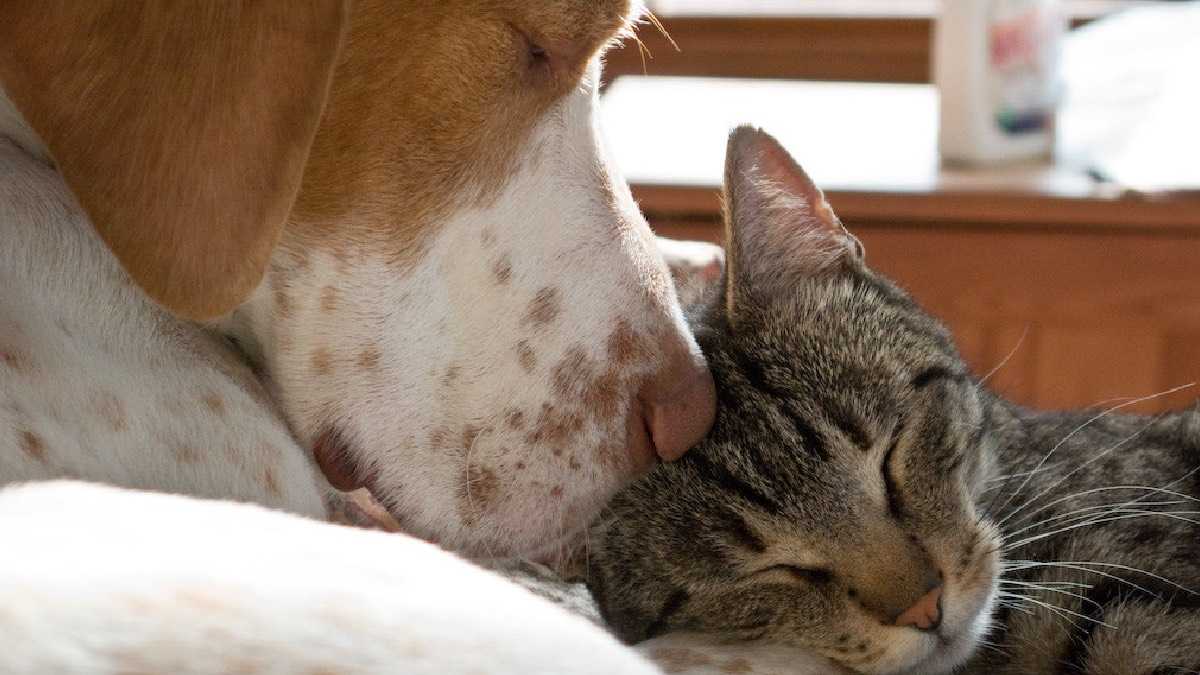 archivo infogate web-5-2-34-45