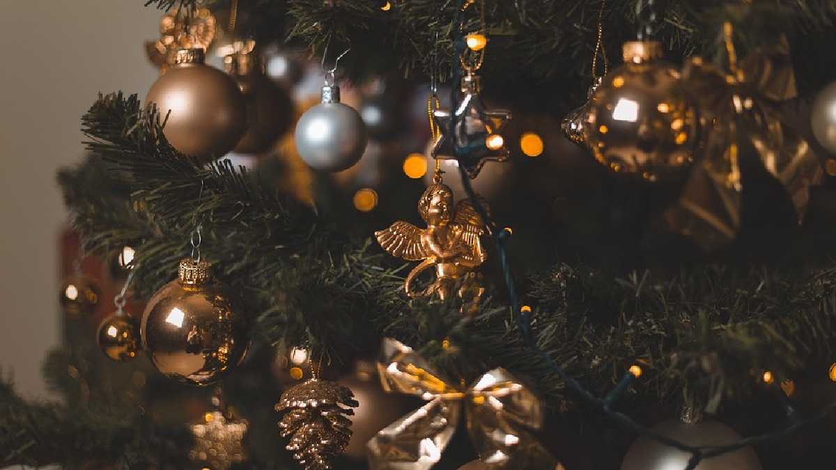 archivo infogate web-5-2-34-47