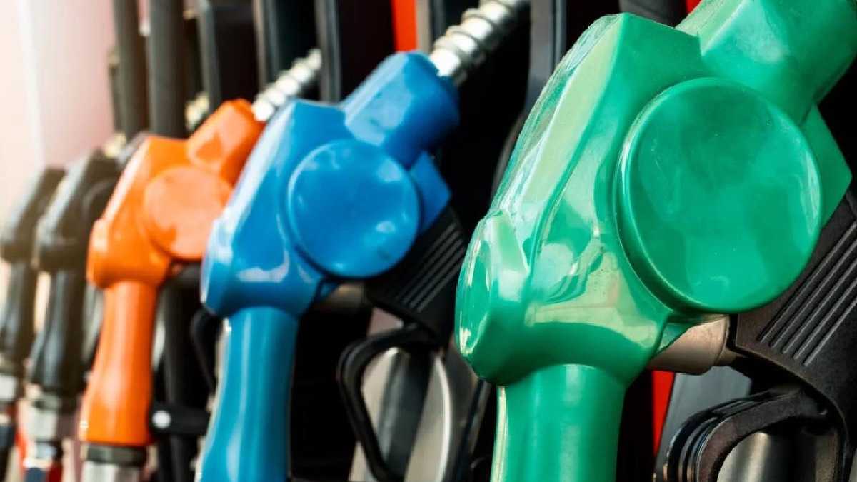 archivo infogate web-5-2-34-5