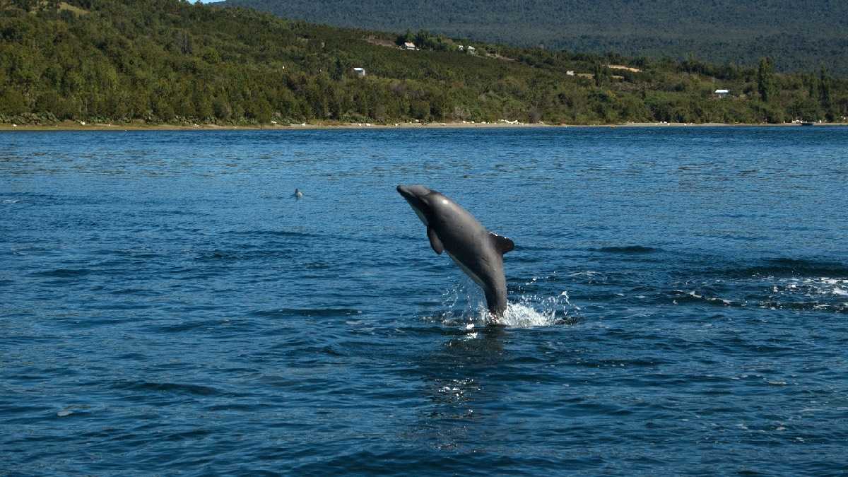 archivo infogate web-5-2-34-54