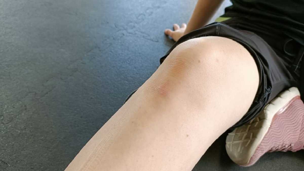 archivo infogate web-5-2-34-6