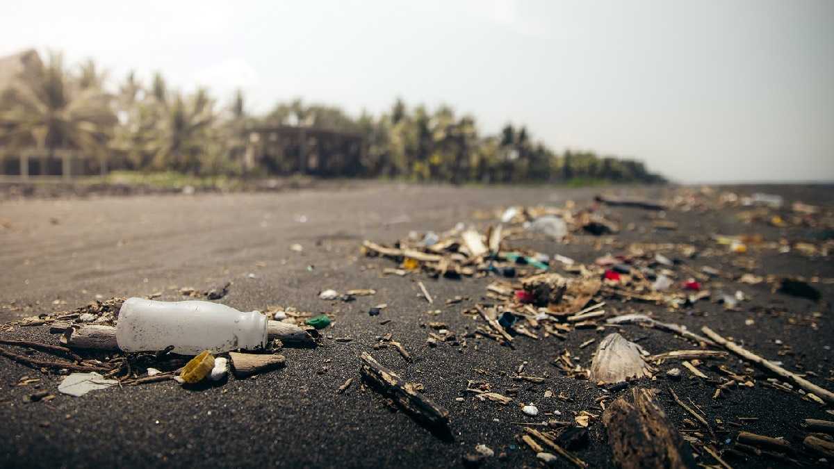 archivo infogate web-5-2-34-61