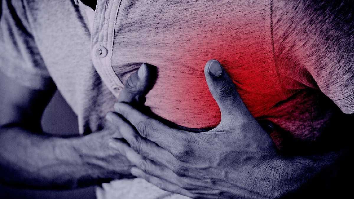 archivo infogate web-5-2-34-69