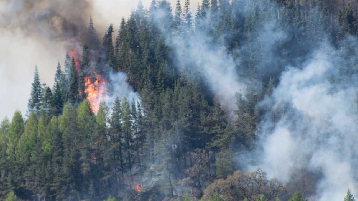 archivo infogate web-5-2-34-7